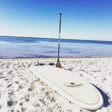 Sunny king sup isup by the sea with three family travel paddleboarding watersports